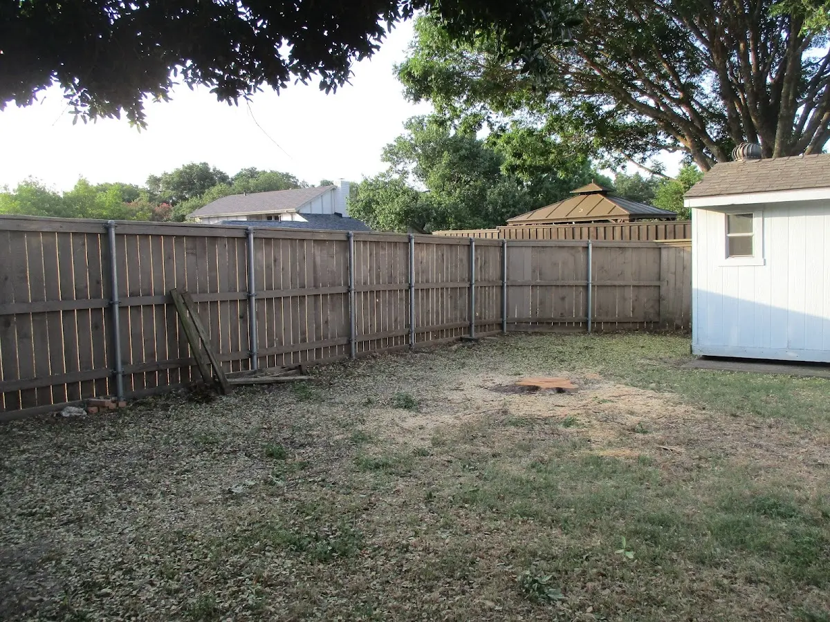 Cleared yard after professional tree removal in Colebrook